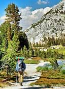 Long Meadow - John Muir Trail, California