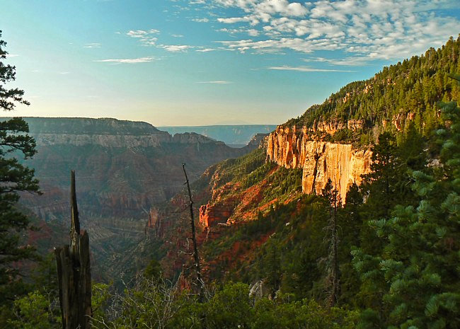 North Rim Parkway, view from the Widforss Trail - Arizona
