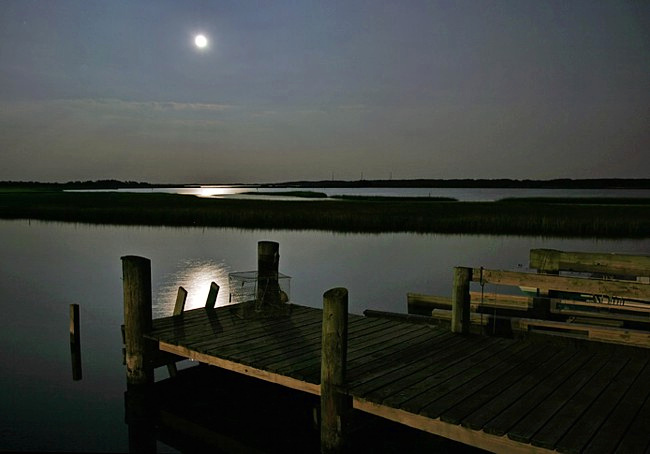 Little Oyster Bay - Chincoteague Island, Virginia