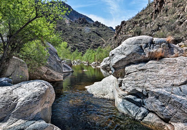 Sabino Canyon - Catalina Forest Preserve, Tucson, Arizona
