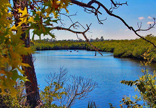 Loxahatchee River - Jonathan Dickinson State Park, Stuart, Florida