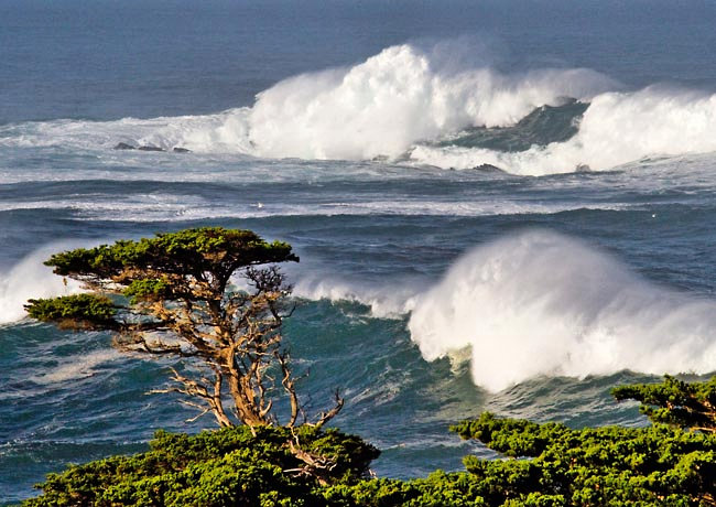 Point Lobos SNR - Carmel-By-The-Sea, California