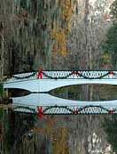 Ashley River Foot Bridge - Magnolia Plantation, Charleston, South Carolina