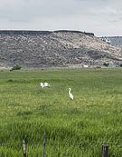 Malheur National Wildlife Refuge - Diamond Loop Tour Backcountry Byway, Oregon