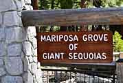 Mariposa Grove Sign - Mariposa Grove, Yosemite National Park, California