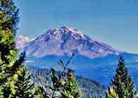 Mount Shasta