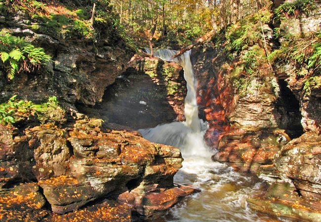 Adams Falls - Ricketts Glen State Park, Pennsylvania