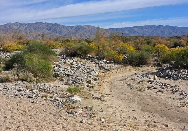 Coachella Valley Preserve - Palm Springs, California