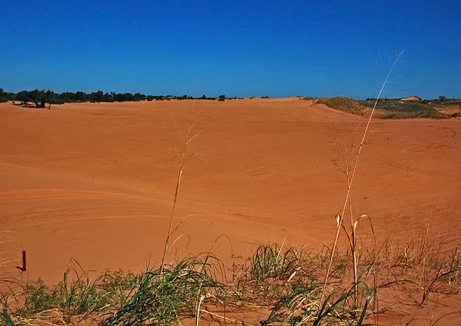 Little Sahara Dunes - Little Sahara State Park,Waynoka, Oklahoma