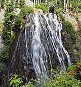 Lower Narvada Falls - Mount Rainier National Park