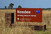 Entrance Sign - Noxubee National Wildlife Refuge