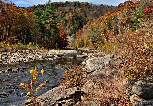Loyalsock Creek - Laporte, Pennsylvania