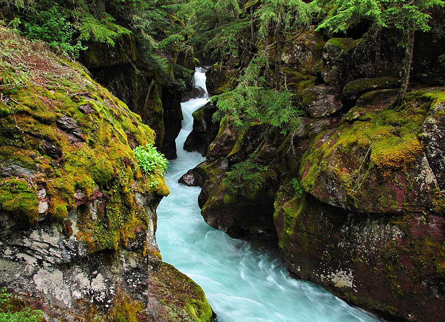 Avalanche Gorge - Glacier National Park, Montana