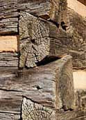 John Oliver Log Home - dovetail joint detail -  Great Smoky Mountain National Park