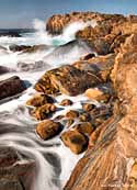 Rocky coast - Point Lobos SNR, Carmel-By-The-Sea, California