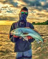 Mosquito Lagoon Red Drum - Canaveral National Seashore, Edgewater, Florida