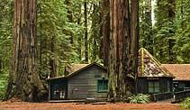 Richardson Grove - Humboldt County, California