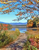 Road To Berry Pond - Moultonborough, New Hampshire