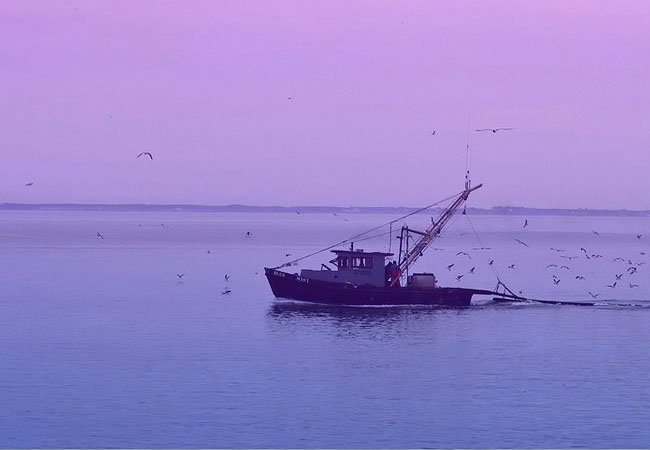 Aransas Bay - Fulton, Texas