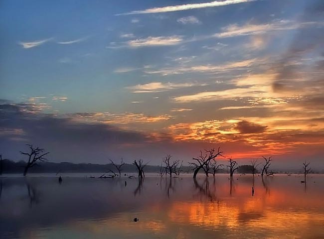 lake texana