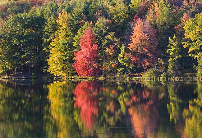 Hills Creek Lake - Mansfield, Pennsylvania