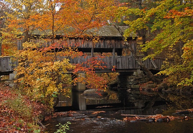 Covered Bridge - Devil's Hopyard State Park, East Haddam, Connecticut