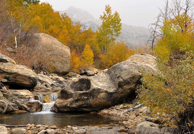 Lamoille Canyon Road - Lamoille, Nevada