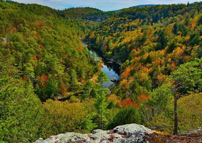 Wild and Scenic Obed River - Wartburg, Tennessee