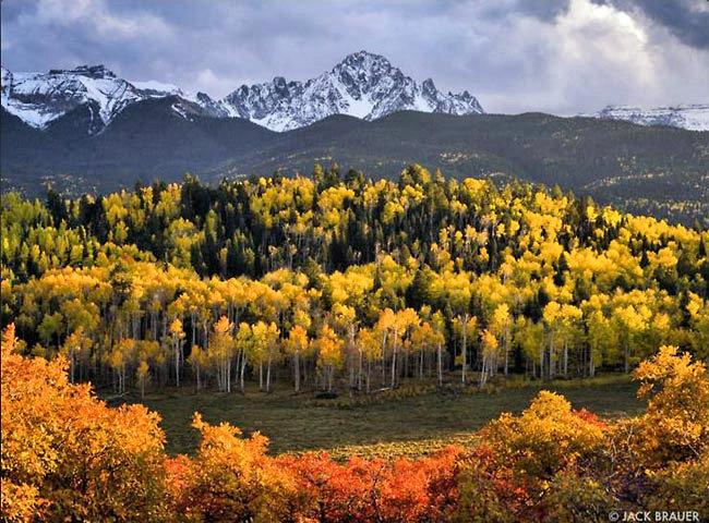 Autumn in the Sneffels - Mount Sneffels Wilderness Area, Colorado