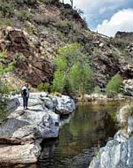Sabino Creek Trail - Tucson, Arizona
