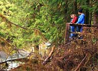 Salmon Cascades Overlook - NPS
