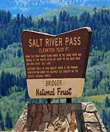 Salt River Pass - Bridger-Teton National Forest, WY