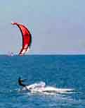 Wind Surfer- Santa Barbara, California