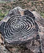 Signal Hill Petroglyph - Saguaro National Park, Tucson, Arizona