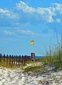 St George Island Dunes - East Point, Florida