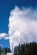 Steam phase of Steamboat Geyser - Norris Geyser Basin, Yellowstone National Park, WY