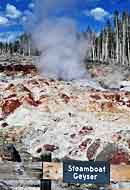 Steam phase (inspiring the name) of Steamboat Geyser - Norris Geyser Basin, Yellowstone National Park, Wyoming