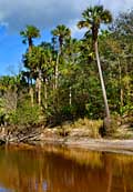 Econlockhatchee River - Seminole County, Florida