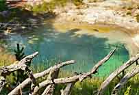 Thermal Pool - Yellowstone National Park