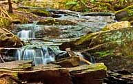 Toccoa Bridge Site Waterfall - Benton MacKaye Trail, GA