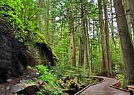 Trail of the Cedars - Glacier National Park