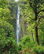 Waimoku Falls - Pipiwai Trail, Haleakala National Park, Hawaii