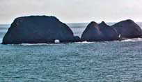 Three Arch Rocks NWR  - Tillamook, Oregon