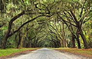 Wormsloe Plantation