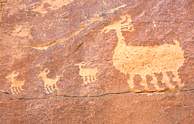 Wupatki National Monument Petroglyphs