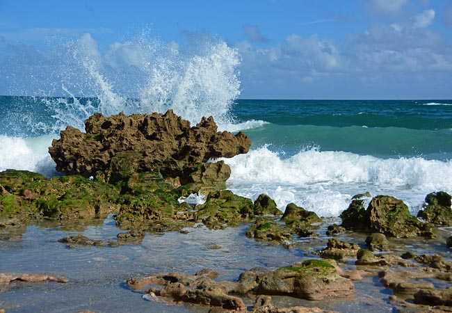 Blowing Rocks Preserve Florida