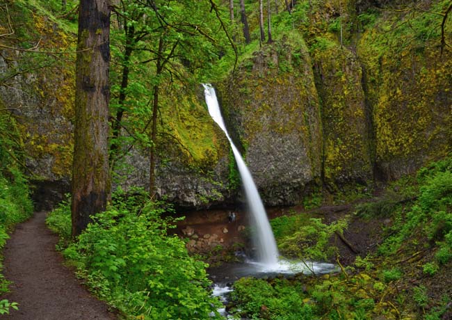 Ponytail Falls - Columbia River Gorge, Corbett, Oregon