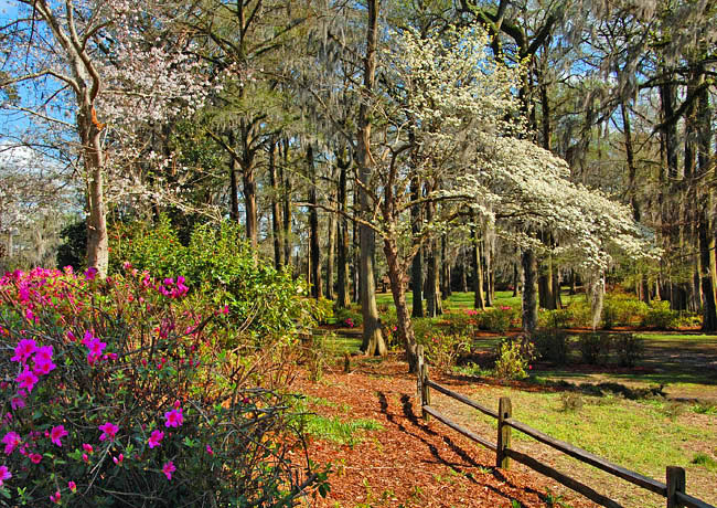 Edisto Memorial Gardens South Carolina
