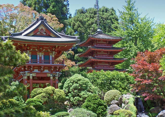 Japanese Tea Garden California