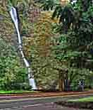 Horsetail Falls - Columbia Gorge, Oregon